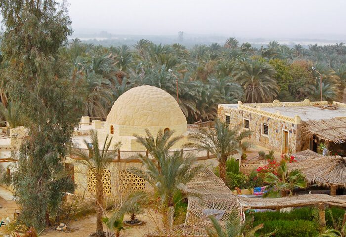 Bahariya Oasis