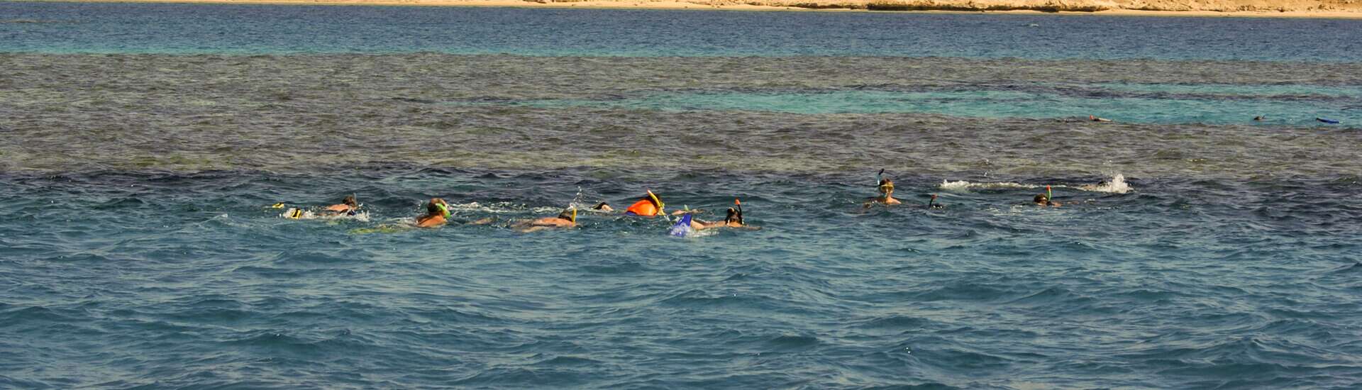 Snorkeling Trip To Tiran Island