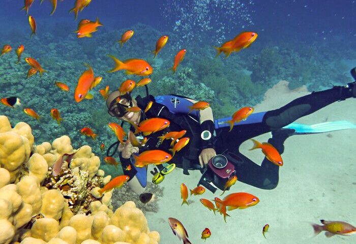 sharm el sheikh