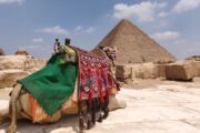 camel view with khufu pyramid