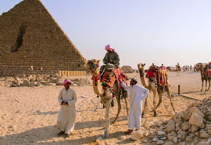 Camel on pyramids.. 700x500