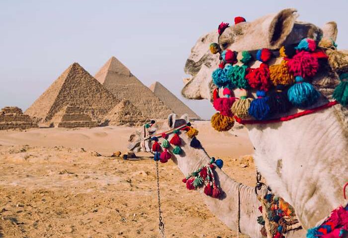 pyramids cairo camel 700x500