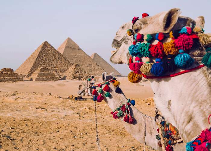 Cairo Day Tour to the Pyramids & Egyptian Museum From Port Said pyramids cairo camel