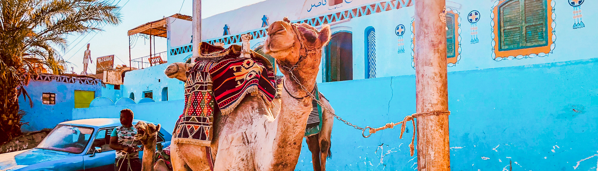 Aswan City Tour by Horse Cart