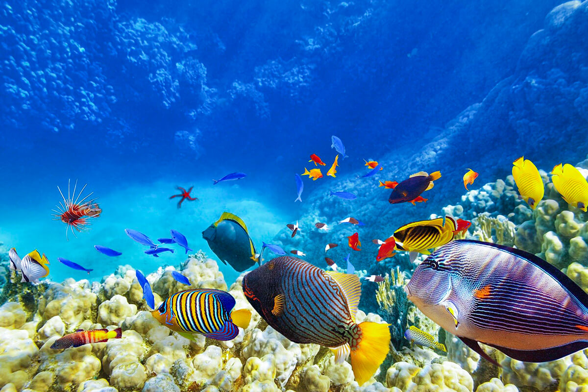 Best Things to do in Sinai Egypt things to do in sinai egypt