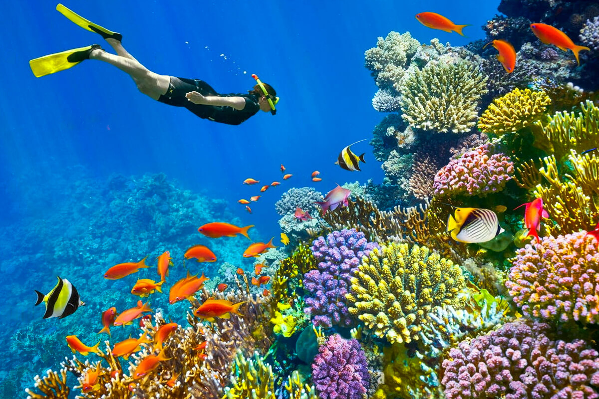 Summer Vacation In Egypt