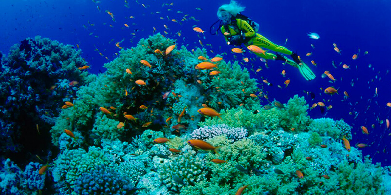 Thrilling Egypt Outdoor Activities: Explore the Wild Side Egypt outdoor activities