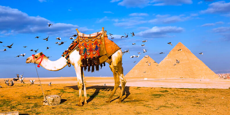 Mysteries of Ancient Egypt