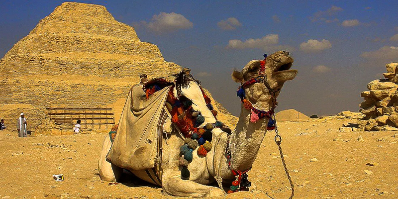 3 Days in Cairo