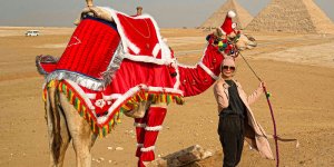 Christmas in Egypt: How to Celebrate Christmas in Egypt?