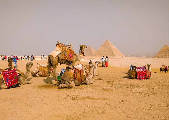 Egypt Tours From Singapore
